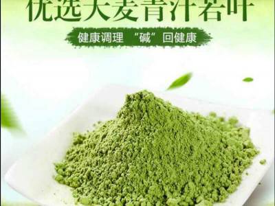 大麦若叶青汁现货一件代发 青汁代加工 果蔬酵素粉 固体饮料厂家图3