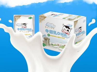 牛初乳片DHA咀嚼片儿童膳食营养牛初乳钙片oem贴牌代加工图3