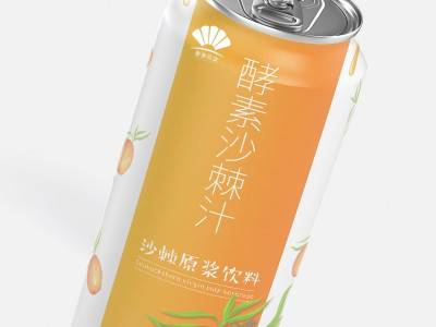沙棘汁 沙棘酵素汁易拉罐饮料 水果酵素饮料oem代工厂家图3