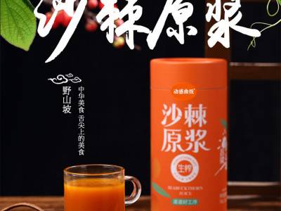 沙棘原浆 沙棘汁沙棘果汁oem贴牌代工图2