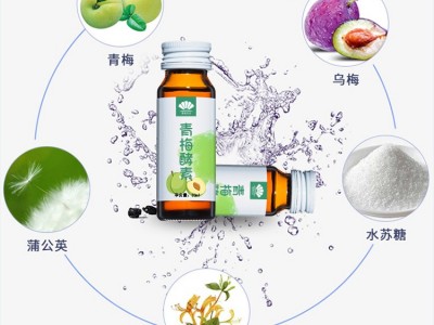 益生元果蔬酵素饮品 复合果蔬孝素液体饮料oem贴牌代加工 酵素饮图2