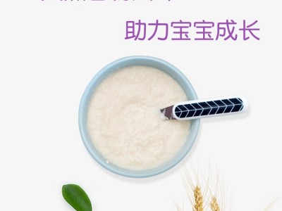 老年人营养速食米粉 中老年饱腹米糊 代餐粉术后鼻饲食品流食米糊图4