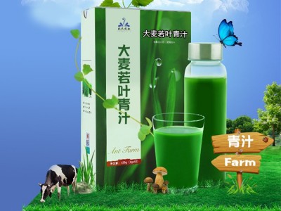 大麦若叶青汁粉厂家代加工 山东完美 大麦苗粉若叶青汁OEM代加工图2