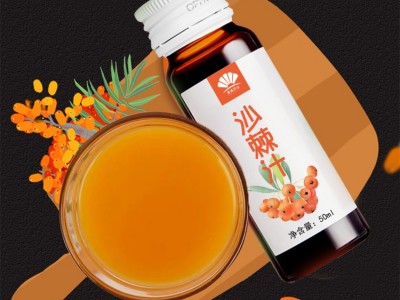 鲜榨沙棘汁 沙棘原浆 易拉罐液体饮料OEM代加工图3