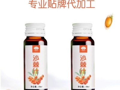 鲜榨沙棘汁 沙棘原浆 易拉罐液体饮料OEM代加工图2
