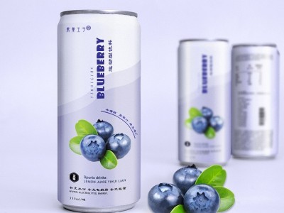 瓶子饮料瓶装盒装混合冰红茶绿茶茉莉蜜茶清茶水蜜桃酸梅汤果汁OEM贴牌代加工图2