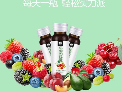 发酵果蔬汁饮料代加工 厂家源头口服液代加工OEM贴牌图2