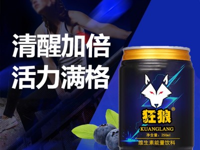 能量型维生素运动饮料 运动能量饮料功能性饮品oem贴牌源头厂家图3