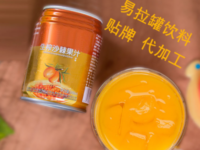 鲜榨沙棘汁 沙棘原浆 易拉罐液体饮料OEM代加工图4