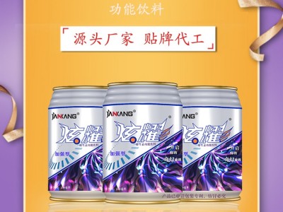 网红维生素功能饮料能量饮料整箱24罐250ml源头厂家 生产订制图2