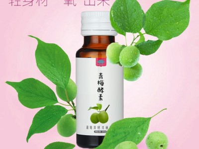 裸藻益生菌酵素口服液复合蛋白果蔬酵素液低脂酵素饮品oem代加工图3