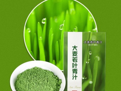 大麦若叶青汁生产厂家山东完美 大麦若叶青汁加工厂图4
