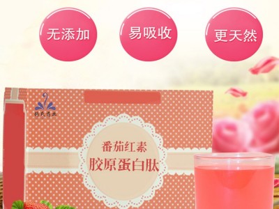 蛋白膳食纤维 胶原蛋白肽 蛋白粉oem贴牌代加工 脂20 代餐粉奶昔图2