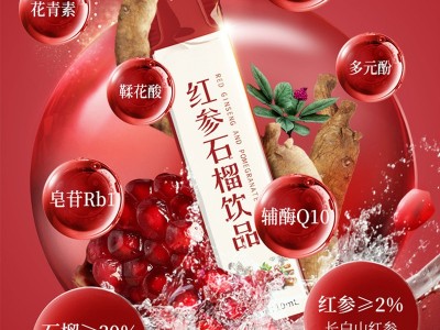 红参石榴饮品OEM贴牌代加工果蔬酵素原液孝素益生菌膳食纤维饮图3