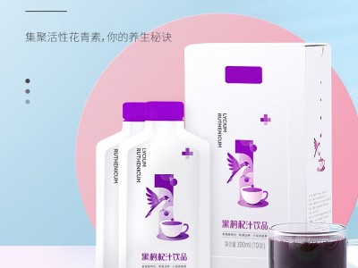 红枸杞原浆饮液OEM贴牌代加工果蔬酵素原液孝素益生菌膳食纤维饮图2