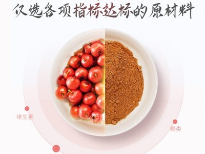 【果蔬代餐粉】红枣粉生产厂家 一站式服务 山东完美图3