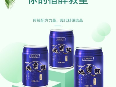 九肃醒易拉罐饮料  饮料OEM代加工厂家  山东完美代加工工厂图2