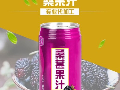 桑葚汁 易拉罐果汁饮料代加工 OEM贴牌生产厂家 山东完美图2