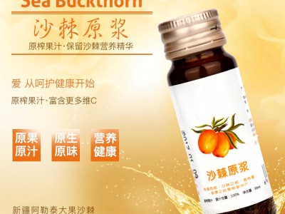 沙棘原浆 口服液饮料代加工 OEM贴牌定制 果汁原浆生产加工厂家图3