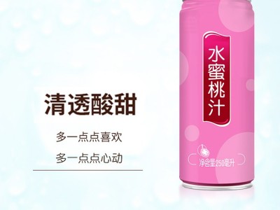 果汁饮料 易拉罐饮料代加工工厂 果汁饮料代加工 山东完美图3