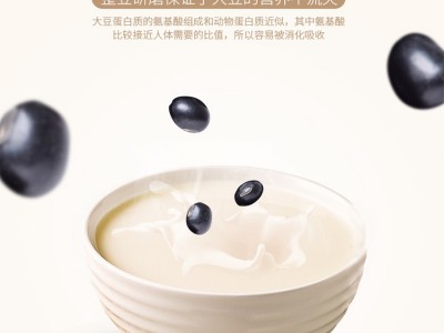 龙王豆浆粉豆浆480g甜味/原味豆浆粉早餐速溶豆浆粉80小包散装图3