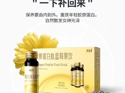 柠檬酵素 直销口服液 透明质酸钠胶原蛋白肽玻尿酸酵素口服液贴牌代工 饮料代加工图2