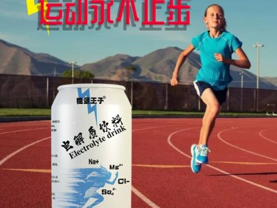 运动维生素饮料 易拉罐能量饮料生产厂家 OEM 贴牌定制图4
