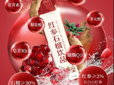 红参红石榴饮品OEM代加工/红参接骨木莓果汁饮料贴牌深圳生产厂家图2