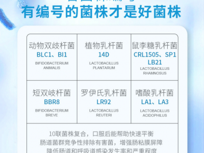 益生菌贴牌 儿童成人复合益生菌粉OEM/ODM 10联复合益生菌粉代工图2