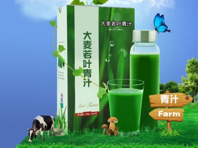青汁粉 若叶青汁生产厂家 OEM贴牌代加工工厂图2