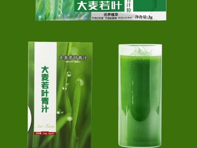 大麦若叶粉 青汁粉生产加工厂家 规格定制 山东完美图2