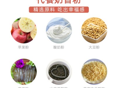 冰淇淋味代餐奶昔 奶昔生产代加工厂家 OEM贴牌代加工工厂图2