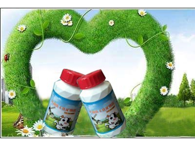 益生元乳钙片咀嚼片 儿童青少年中老年乳酸元钙片压片糖果厂家图2