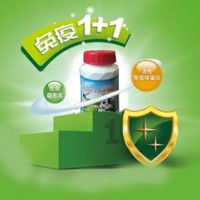 益生元乳钙片咀嚼片 儿童青少年中老年乳酸元钙片压片糖果厂家
