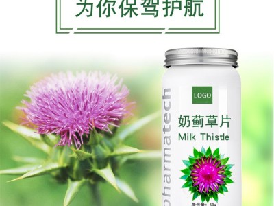 奶蓟草片 压片糖果生产加工厂家 OEM贴牌代加工图4