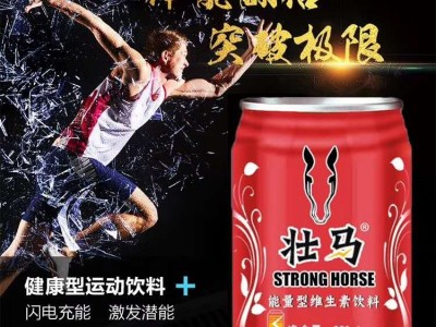 维生素能量饮料 能量饮料生产加工厂家 一站式贴牌代加工工厂图2