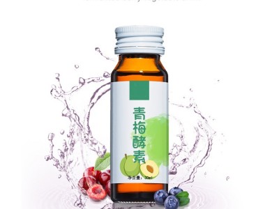酵素口服液生产加工厂家 OEM贴牌代加工生产工厂  山东完美图4