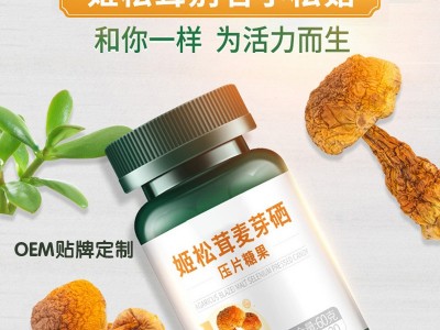 姬松茸麦芽硒 硒片产品生产加工工厂 OEM贴牌定制加工图2