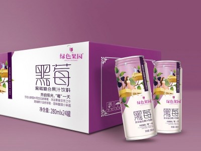 猕猴桃果汁饮料水果饮料易拉罐饮料oem贴牌代加工产品加工图3