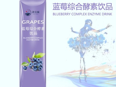 果蔬酵素粉 蓝莓酵素果蔬粉定制加工 OEM贴牌代加工工厂图2