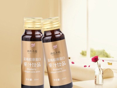 蓝莓胶原蛋白果汁饮 果蔬汁饮品OEM定制贴牌厂家图2