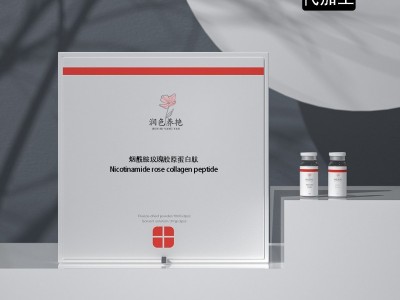 烟酰胺玫瑰饮 瓶装胶原蛋白口服液饮品OEM定制代加工厂家图2