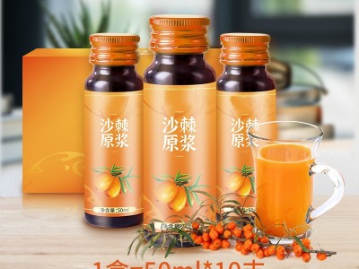 沙棘原浆饮 口服液沙棘原浆果汁饮品生产定制加工图2