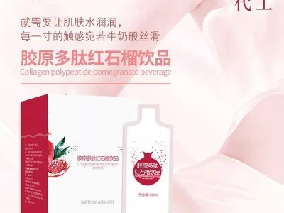 胶原蛋白红石榴饮 果汁饮品定制贴牌厂家 OEM生产定制加工图2