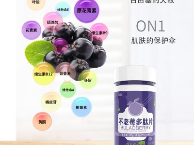 不老莓多肽粉 莓果粉剂产品定制贴牌图2