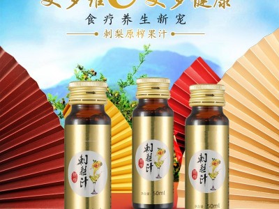刺梨果汁饮  刺梨果汁饮品OEM定制贴牌图3