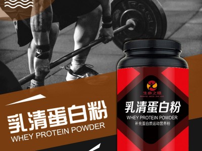 乳清蛋白粉 特膳食品营养粉OEM定制代加工厂家图2