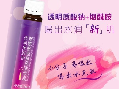 玻尿酸烟酰胺植物饮 瓶装植物饮品OEM定制贴牌图2